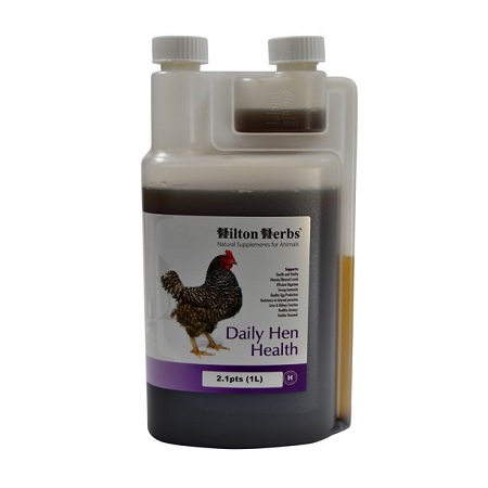 Hilton Herbs Daily Hen Health - Herbal support supplement for breeding hens - Natural Support - Breeding Supplement